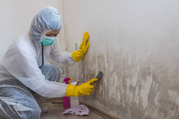 Best Forensic Mold Investigation  in Lucedale, MS