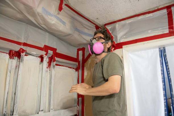 Best Comprehensive Air Testing for Mold Contaminants  in Lucedale, MS